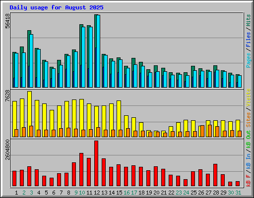 Daily usage for August 2025