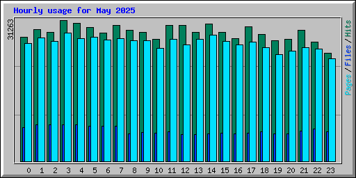Hourly usage for May 2025