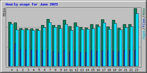 Hourly usage for June 2025