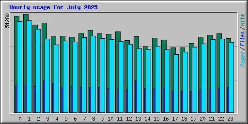 Hourly usage for July 2025