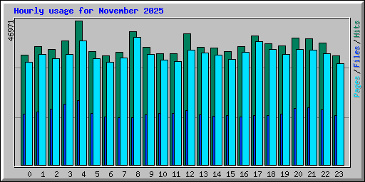 Hourly usage for November 2025