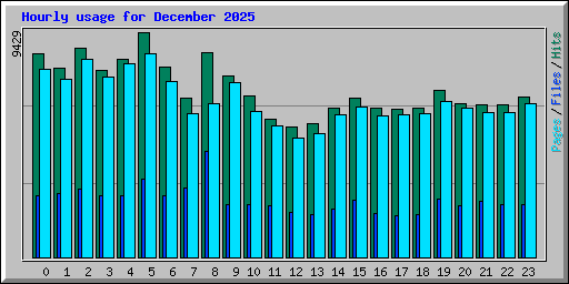 Hourly usage for December 2025