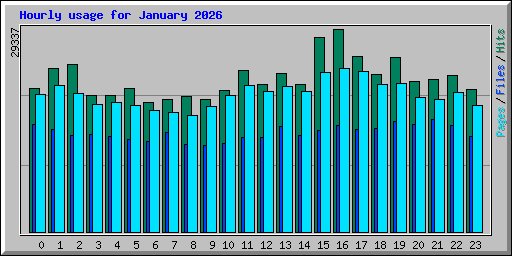 Hourly usage for January 2026