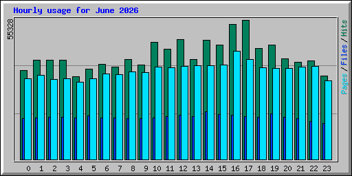Hourly usage for June 2026