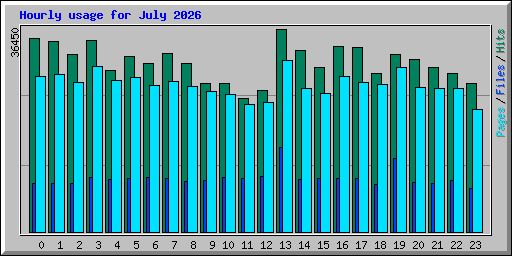 Hourly usage for July 2026