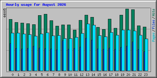 Hourly usage for August 2026